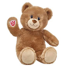Load image into Gallery viewer, TEddy