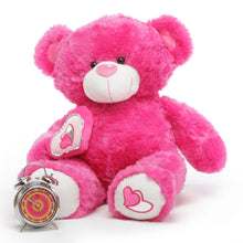Load image into Gallery viewer, TEddy