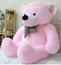 Load image into Gallery viewer, TEddy